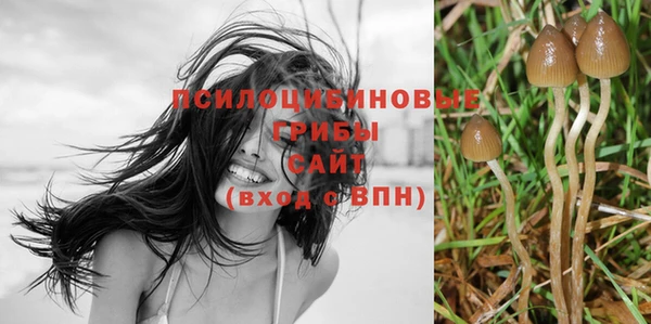 молекула духа Алексин