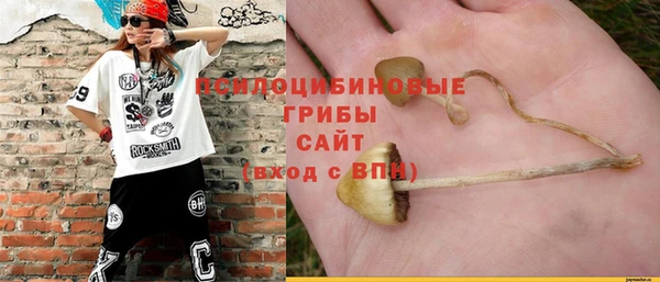 молекула духа Алексин