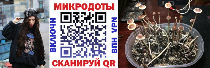 blacksprut tor наркотики Шлиссельбург Псилоцибиновые грибы MAGIC MUSHROOMS
